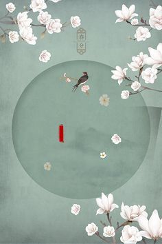 8050午夜免费观看完整版